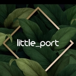 Business logo of Little_port