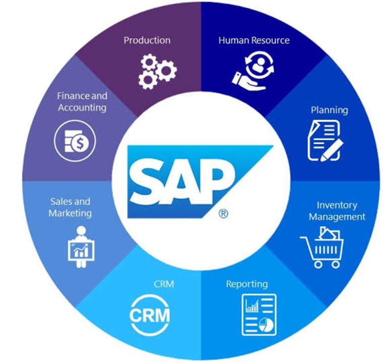 SAP ERP uploaded by Develop Yourself on 8/19/2021