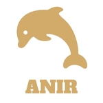 Business logo of Anir