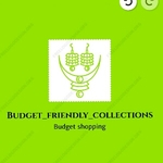 Business logo of Buget _friendly_collections
