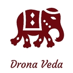 Business logo of Dronavedastore