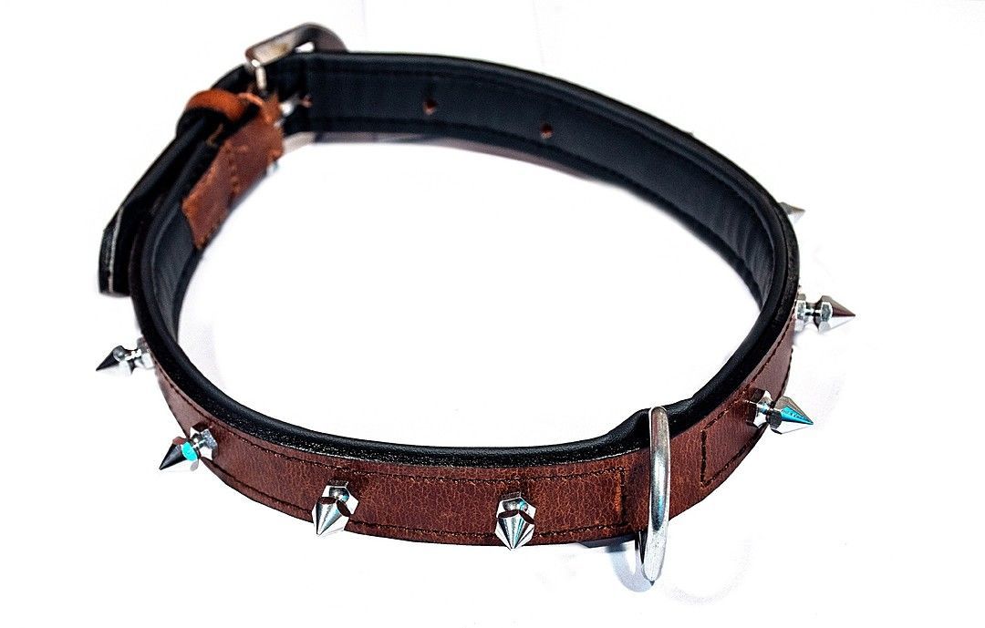 Dog Collar uploaded by Shiva Chains on 9/1/2020