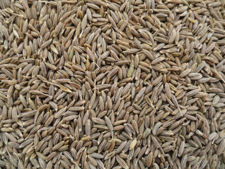 Cumin seed  machine clean  uploaded by business on 8/24/2021