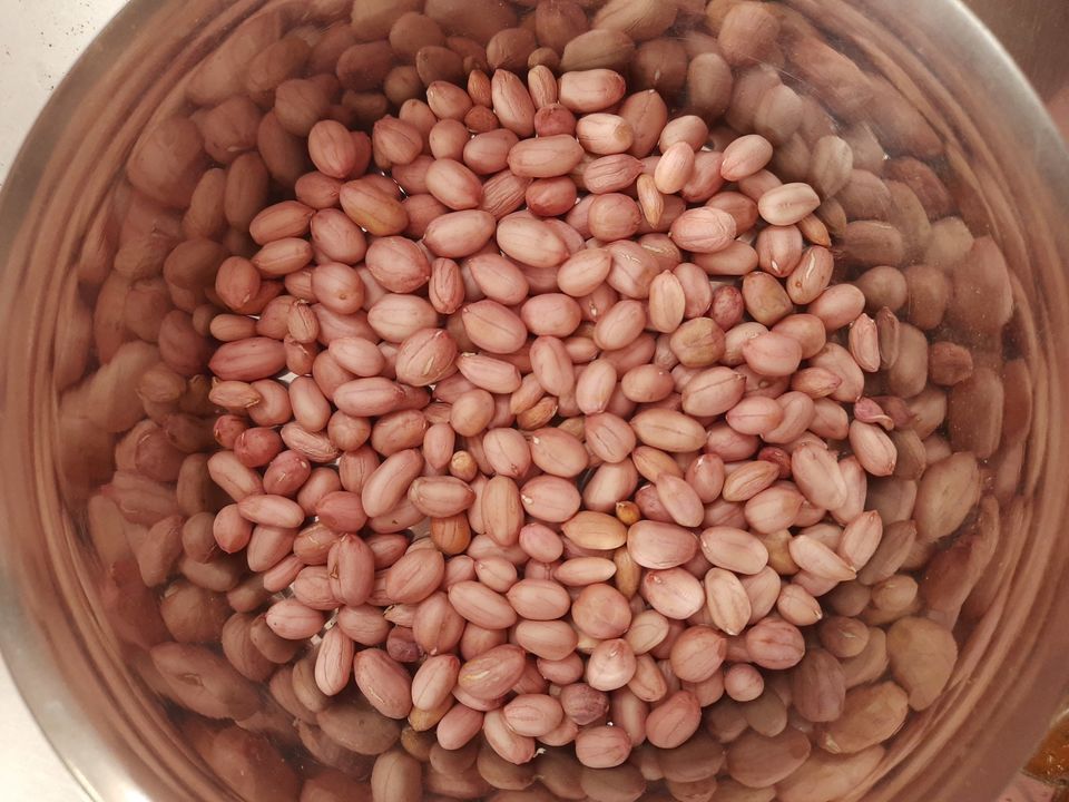 Groundnut seed uploaded by business on 8/24/2021