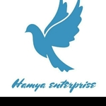 Business logo of Online_hamishop