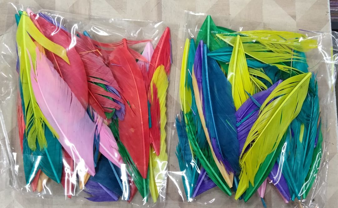 Craft Feathers  uploaded by Kothari Brothers Enterprises on 8/26/2021