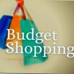 Business logo of Budget Shopping