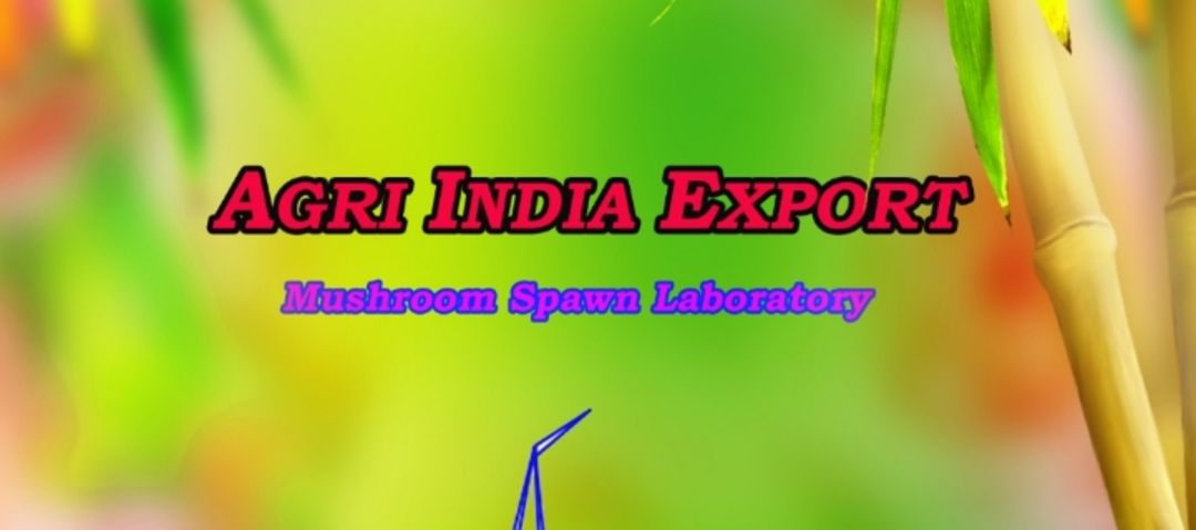 Agri India Export