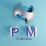 Business logo of P M Collection