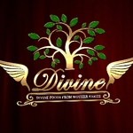 Business logo of Divine Foods and Health Care produc