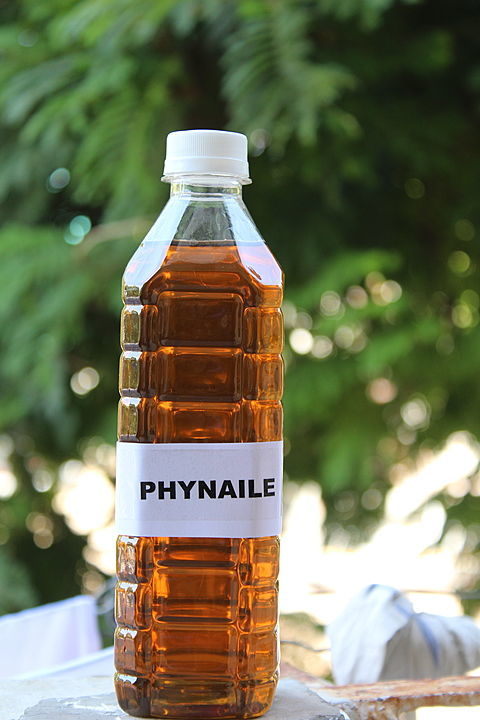 Phynaile uploaded by business on 9/4/2020