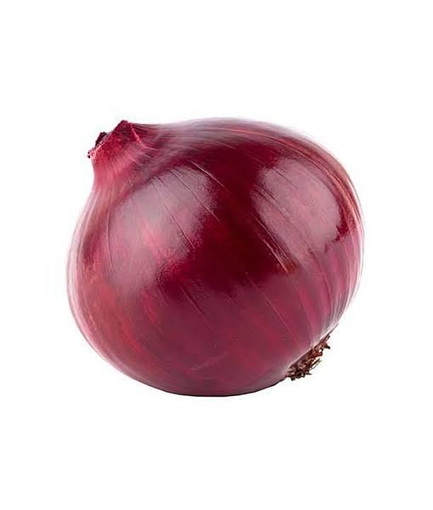 Onion uploaded by business on 9/4/2020