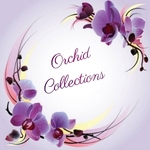 Business logo of Orchid Collections