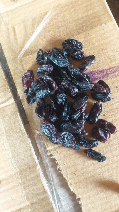 BLACK RAISINS uploaded by DELICIOUS FOODS on 9/6/2021