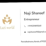 Business logo of Lazi World
