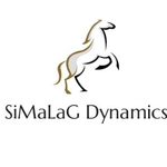 Business logo of SiMaLaG Dynamics