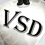 Business logo of VSD style collections