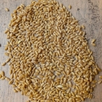Business logo of Hooghly Grains