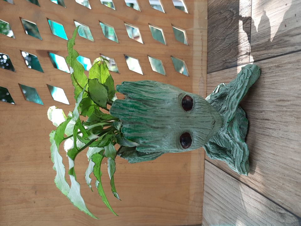 Groot Resin Planter uploaded by business on 9/9/2021
