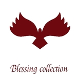 Business logo of Blessing collection