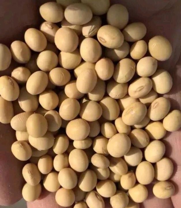 Soyabean uploaded by business on 9/10/2021