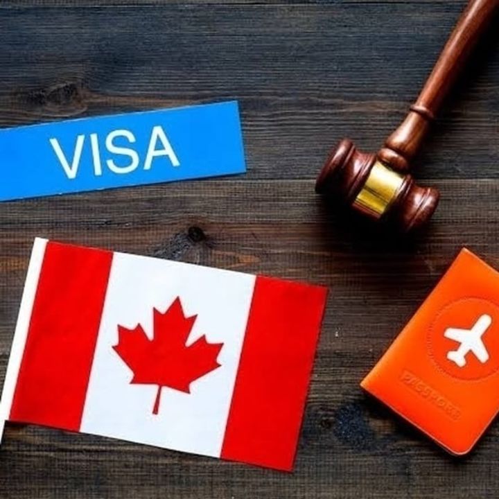 Post image Hi Dear,Are you from Punjab and want to go abroad (Canada, Australia,USA, UK, NEWZEALAND AND OTHER COUNTRIES), then just DM me. I will help you in the process, according to your qualifications and experience. Feel free to contact me if you need any information regarding visa process like study visa, visitor visa, Work permit, PR. 😊THANKS 💐