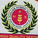 Business logo of Punjab hybrid seed