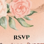 Business logo of RSVP kids