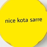 Business logo of Nice kota sarre