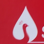 Business logo of Sri Chakri Enterprise