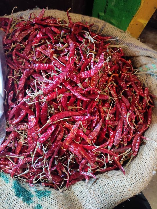 Dry Red Chilly uploaded by business on 9/16/2021
