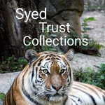 Business logo of Syed Trust Collection
