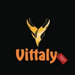 Business logo of Vittaly
