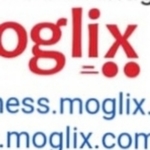 Business logo of Moglix