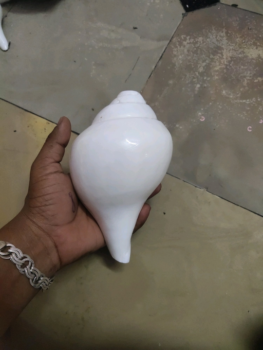 Blowing Shankh uploaded by Sea shell on 9/19/2021