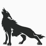 Business logo of Black wolf
