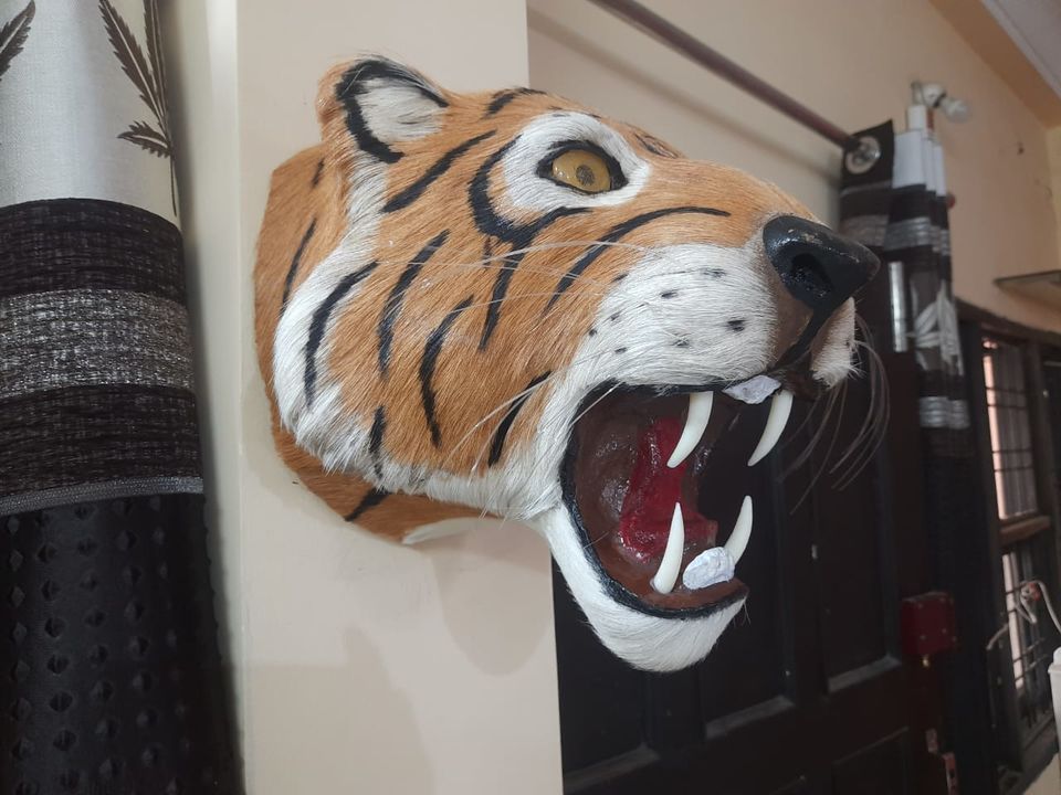 Tiger wall head  uploaded by business on 9/21/2021