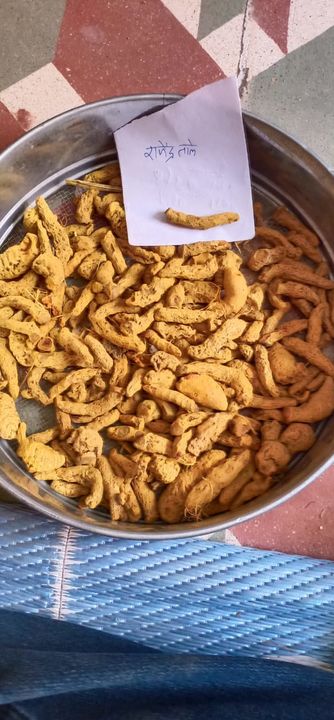 Post image I want 1000 KGs of Turmeric.
Chat with me only if you offer COD.
Below are some sample images of what I want.