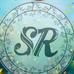 Business logo of SR trends