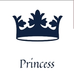 Business logo of Princess shopping