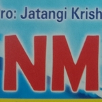 Business logo of Nm dresses
