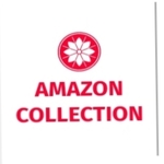 Business logo of AMAZON COLLECTION