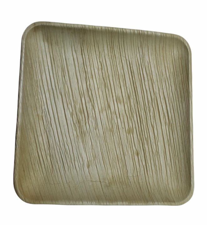 Biodegradable areca leaf plates uploaded by business on 10/2/2021