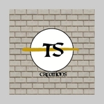 Business logo of TS CREATIONS