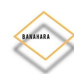 Business logo of Banahara & co.