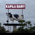 Business logo of Kapila dairy