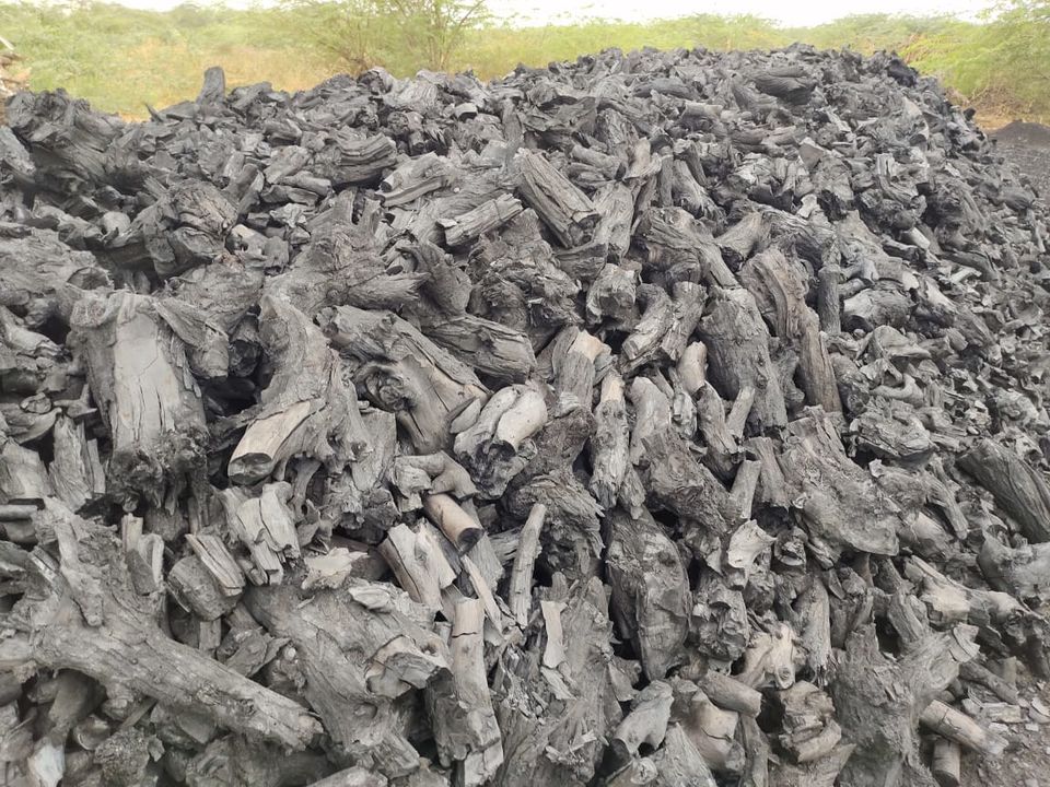 Hardwood charcoal root uploaded by Sak al noor on 10/11/2021