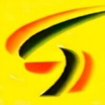 Business logo of SAI TRADING CO.