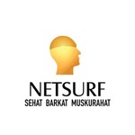 Business logo of Netsurf communication pvt.ltd