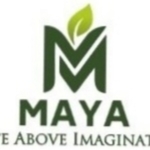 Business logo of Maya foods